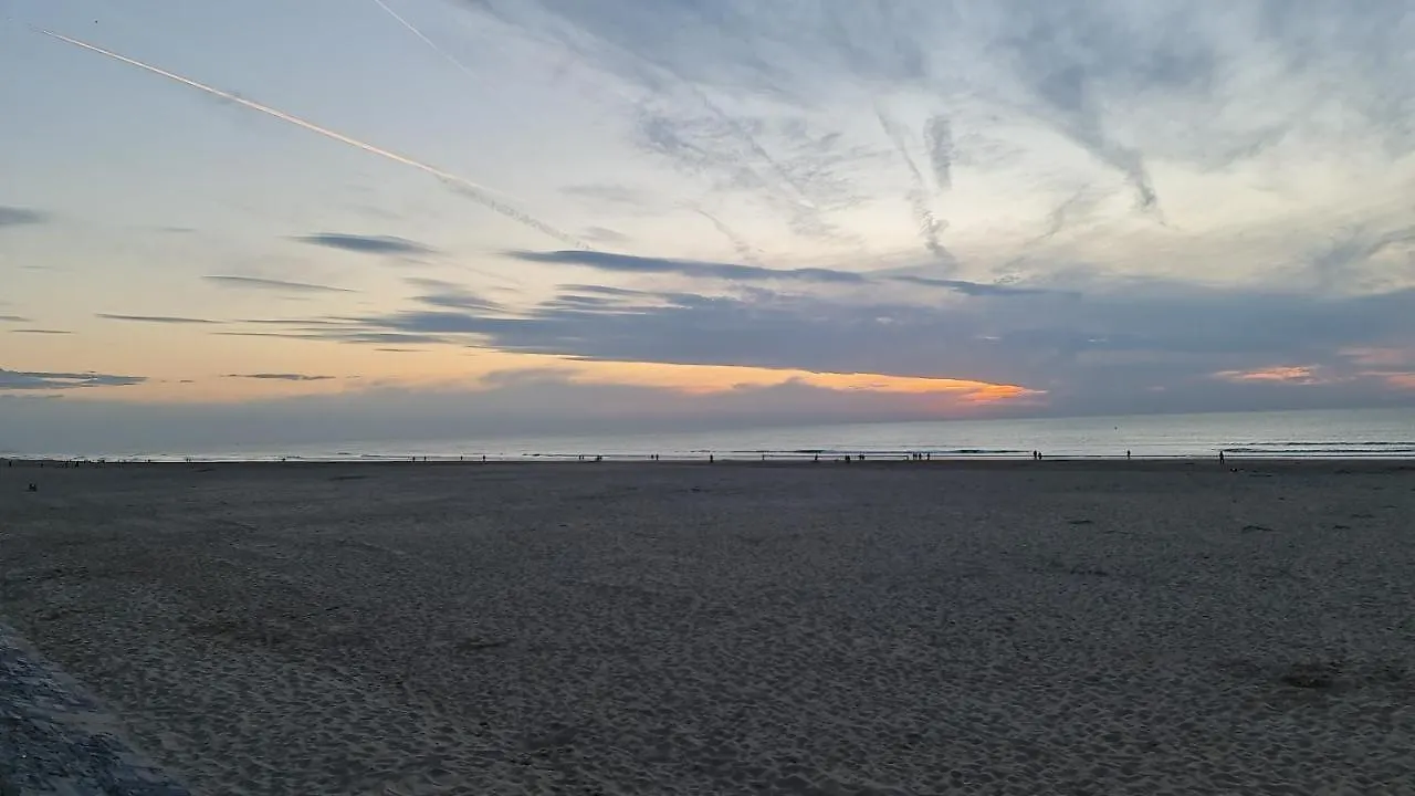 Marina Mercator Ostend 0*,  Belgium