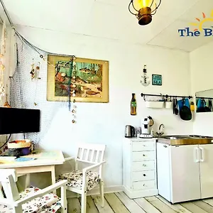https://the-blue-dodo.zandvoort-hotels.com